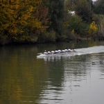 Coppa Tevere 2015 (20)