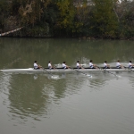 Coppa Tevere 2015 (260)